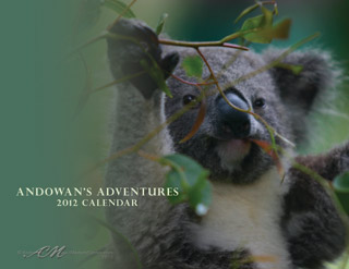 Andowans Calendar